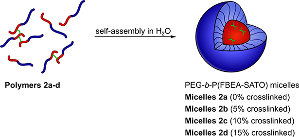 Scheme 5.