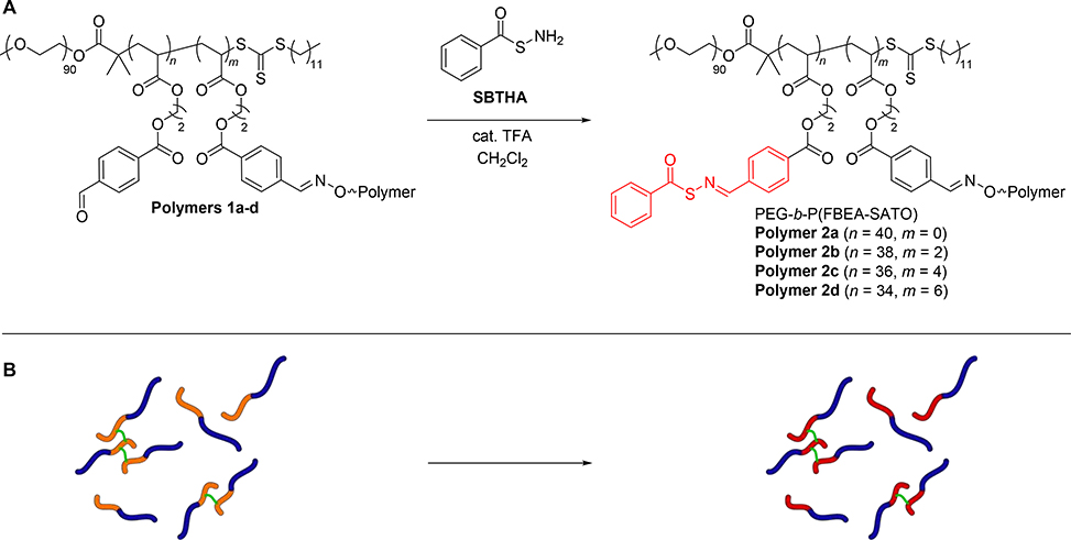 Scheme 4.