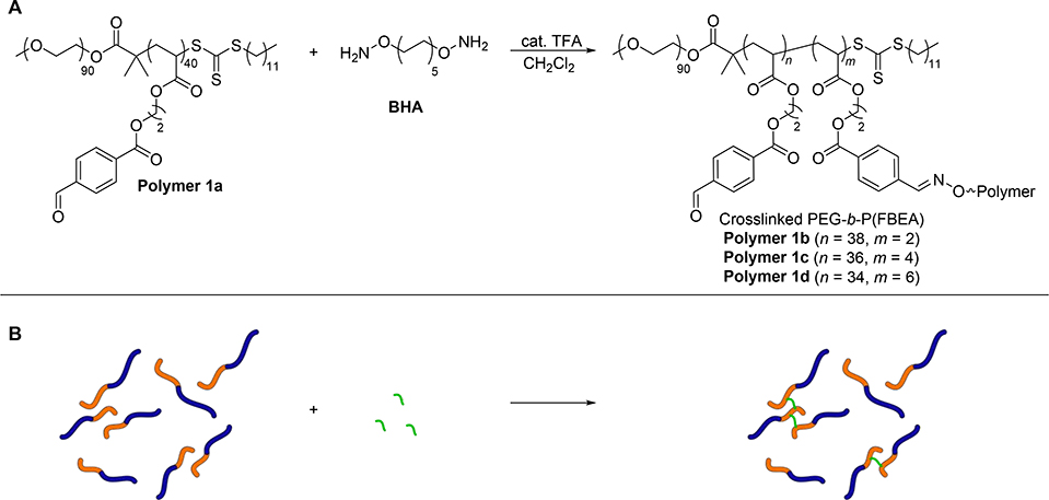 Scheme 3.