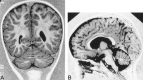 <sc>fig</sc> 7.