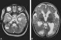 <sc>fig</sc> 3.