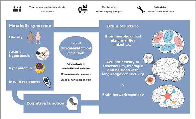 graphic file with name nihpp-2023.02.22.529531v5-f0001.jpg