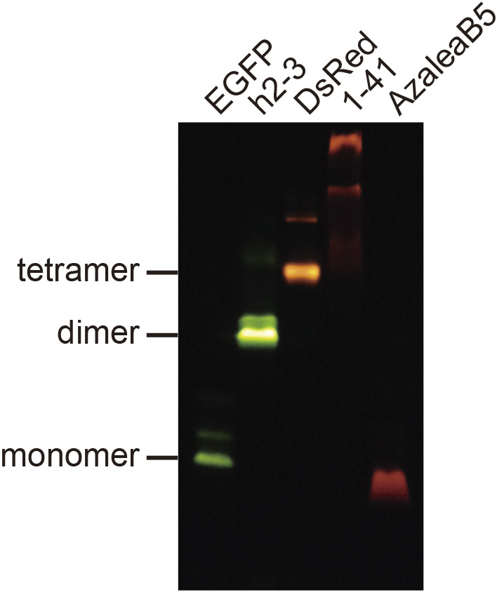 Fig. 3