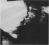 60