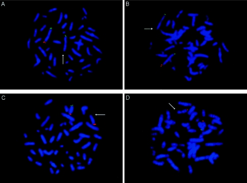 Figure  1