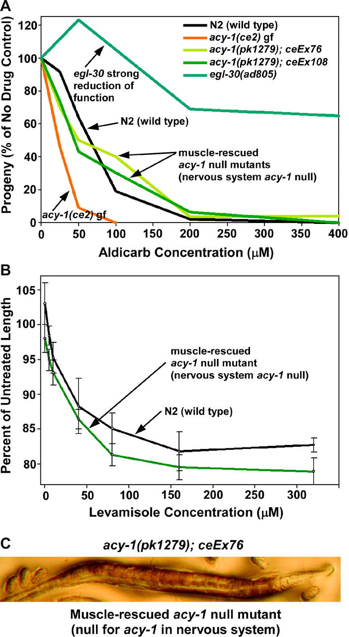 Figure 4.—