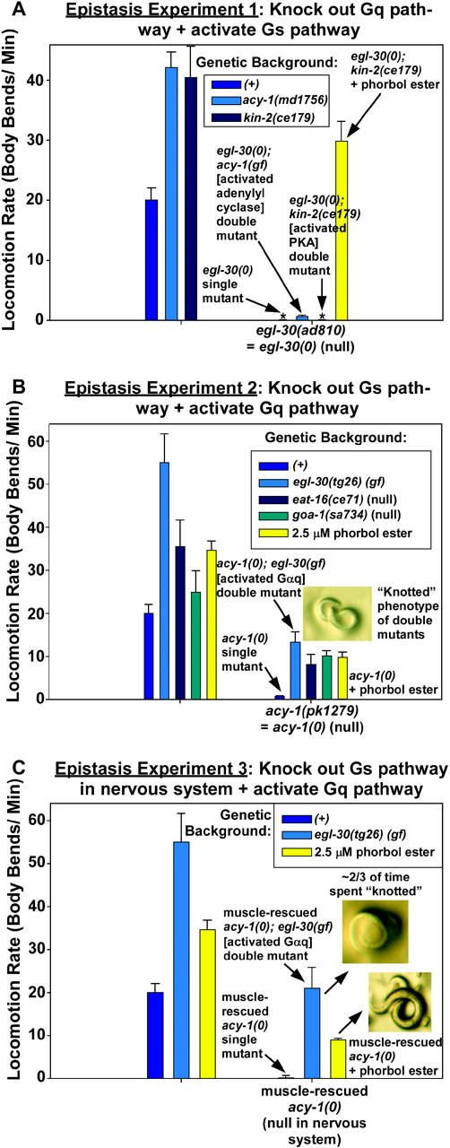 Figure 5.—