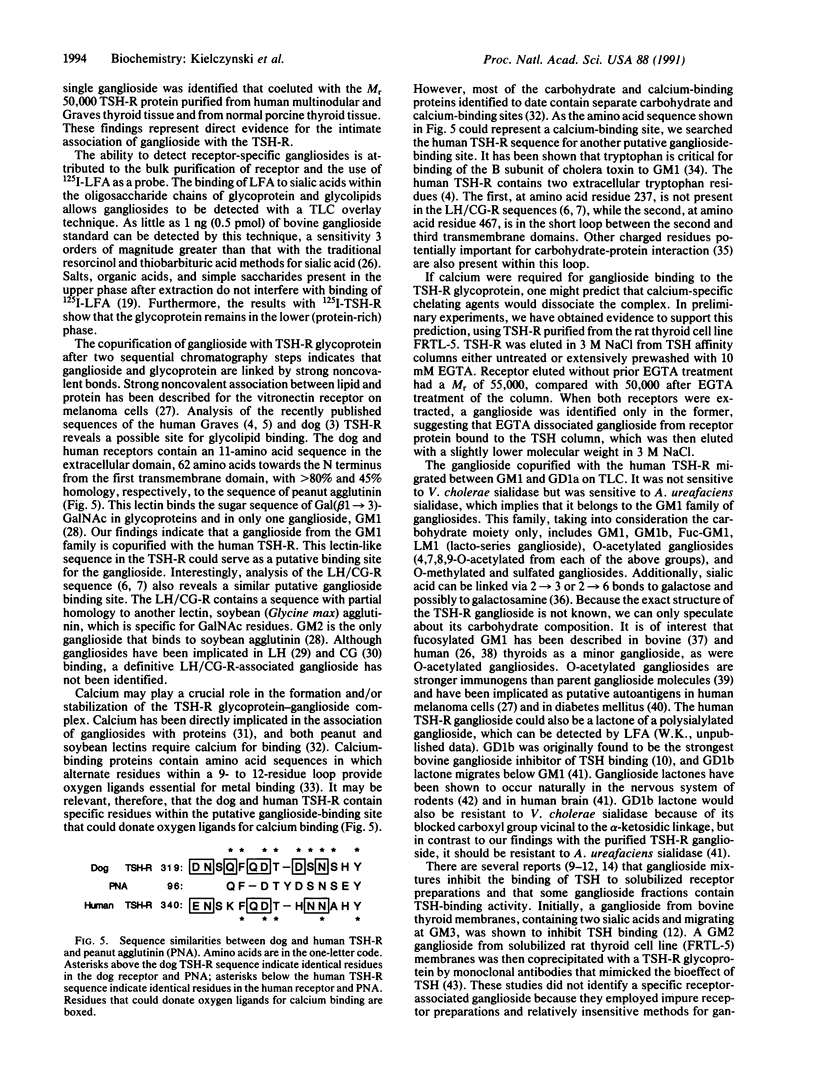 1994