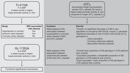 FIGURE 10.