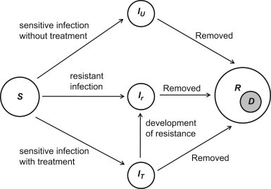 Fig. 1