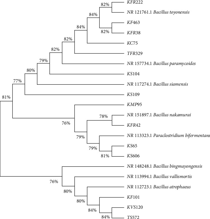 Figure 6