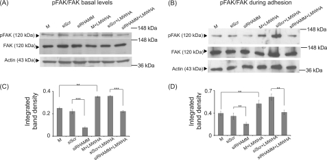 FIGURE 12.