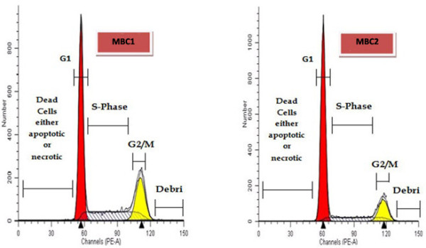 Figure 13