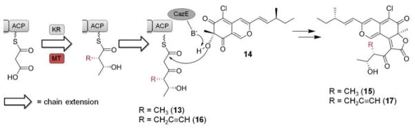 Scheme 3