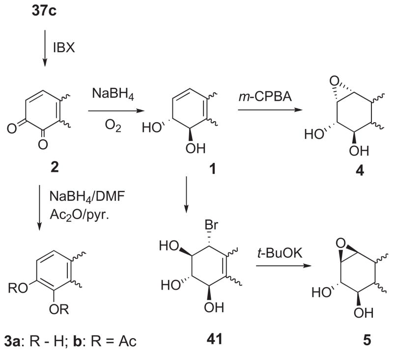 Scheme 7