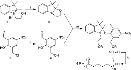 Scheme 1