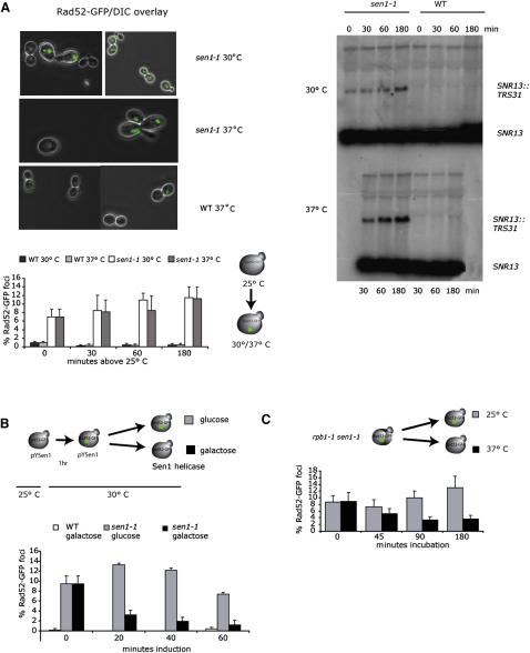 Figure 6