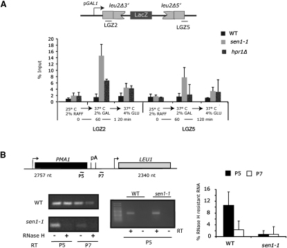 Figure 4