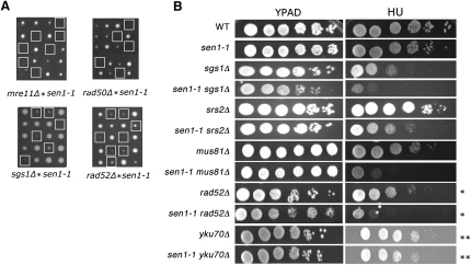 Figure 5