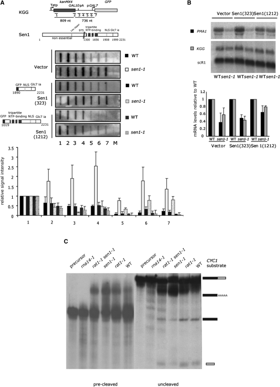 Figure 1