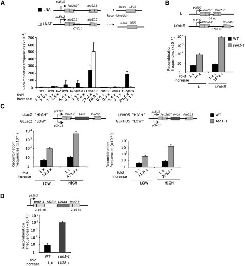 Figure 2