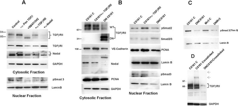 Fig.3