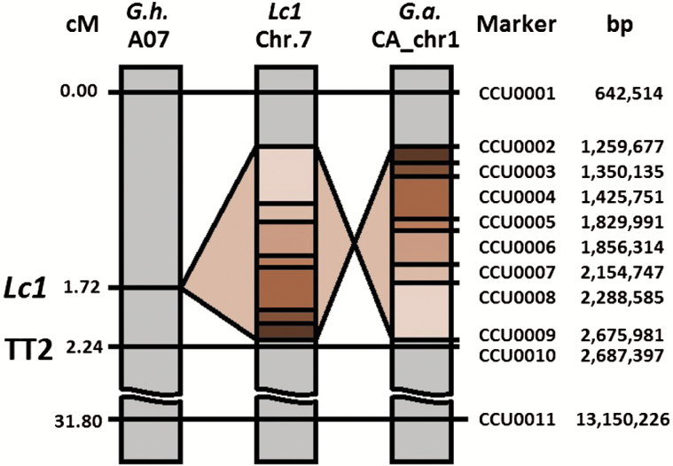 Fig. 3.