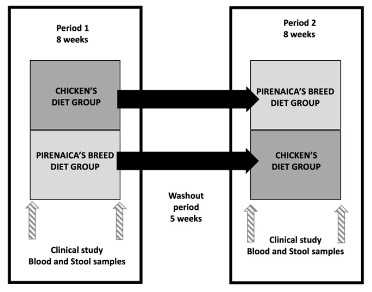 Effect Of The Intake Of Lean Red-meat From Beef-(pirenaica Breed 