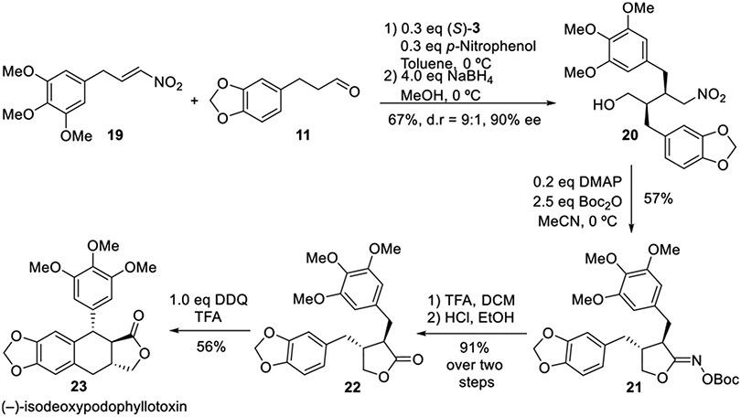 Scheme 5.