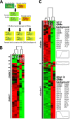 FIG 1