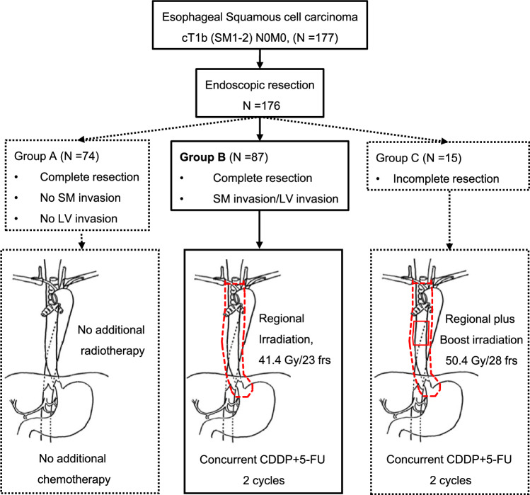 Fig. 3