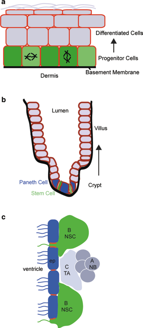 Fig. 15.2