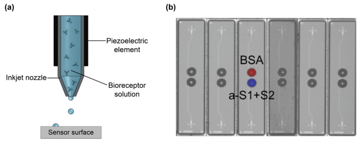 Figure 20