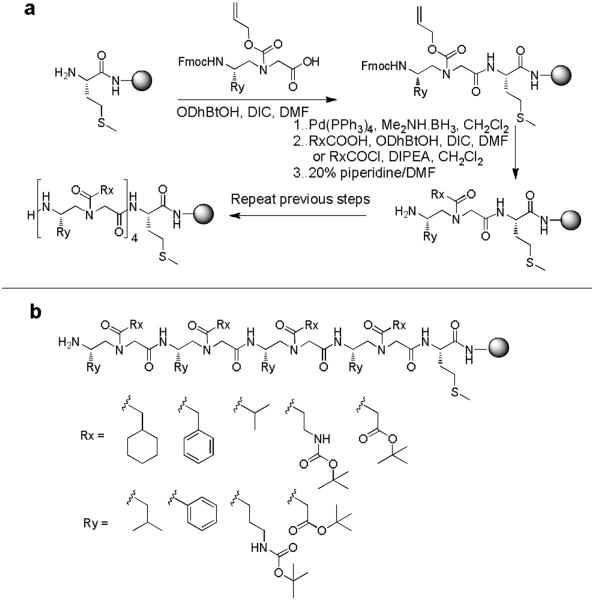 Scheme 1