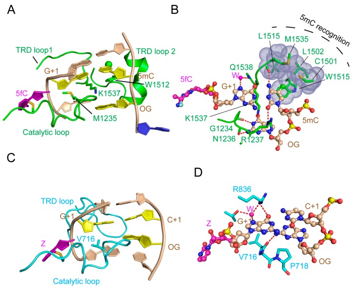 Figure 9