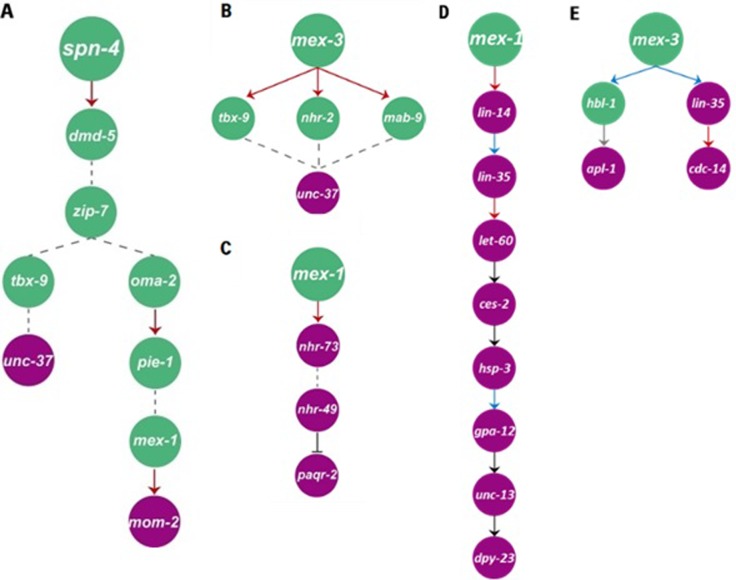 Fig 3