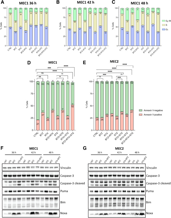 Figure 3. Impact of STS and bortezomib on cell-cycle progression and apoptosis. A–C, Cell-cycle analysis using PI staining and flow cytometry. A, Cell-cycle distribution of MEC1 cells treated with CTRL, STS, bortezomib (BTZ), rituximab (RTX), STS + rituximab, STS + bortezomib, bortezomib + rituximab, or STS + bortezomib + rituximab for 36 hours, as assessed by FACS analysis of PI incorporation. B, Cell-cycle distribution analysis after 42 hours of treatment. C, Cell-cycle distribution analysis after 48 hours of treatment. Data are presented as mean ± SD of three independent experiments. D and E, Proapoptotic effects of STS, bortezomib, or STS + bortezomib, alone or in combination with rituximab, in MEC1 and MEC2 cells. The percentage of Annexin V–positive (apoptotic) cells among total cancer cells was quantified by FACS analysis at 36 hours in MEC1 cells (D) and MEC2 cells (E) after exposure to the indicated treatments. Data are presented as mean ± SEM of three independent experiments. F and G, Western blot analysis of the expression of caspase-3, cleaved caspase-3, Noxa, PUMA, and BIM protein levels in MEC1 (F) and MEC2 (G) cells exposed to STS, bortezomib, or their combination, compared to with untreated control cells. Western blot data were replicated in tso independent experiments. Vinculin was used as a protein loading control.