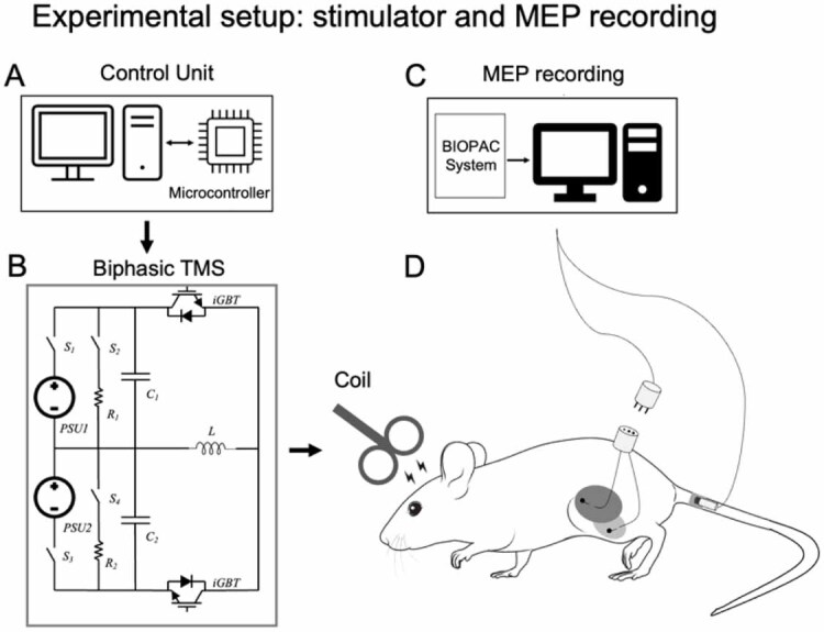 Figure 2.