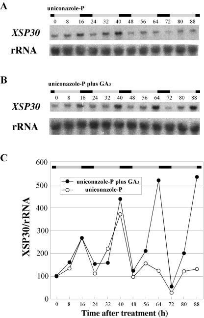 Figure 7.