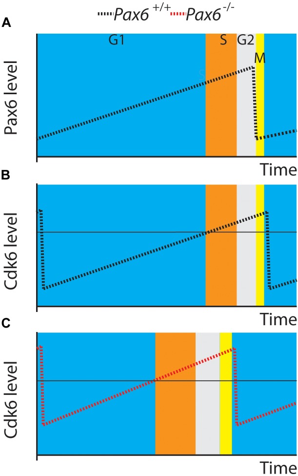 FIGURE 6