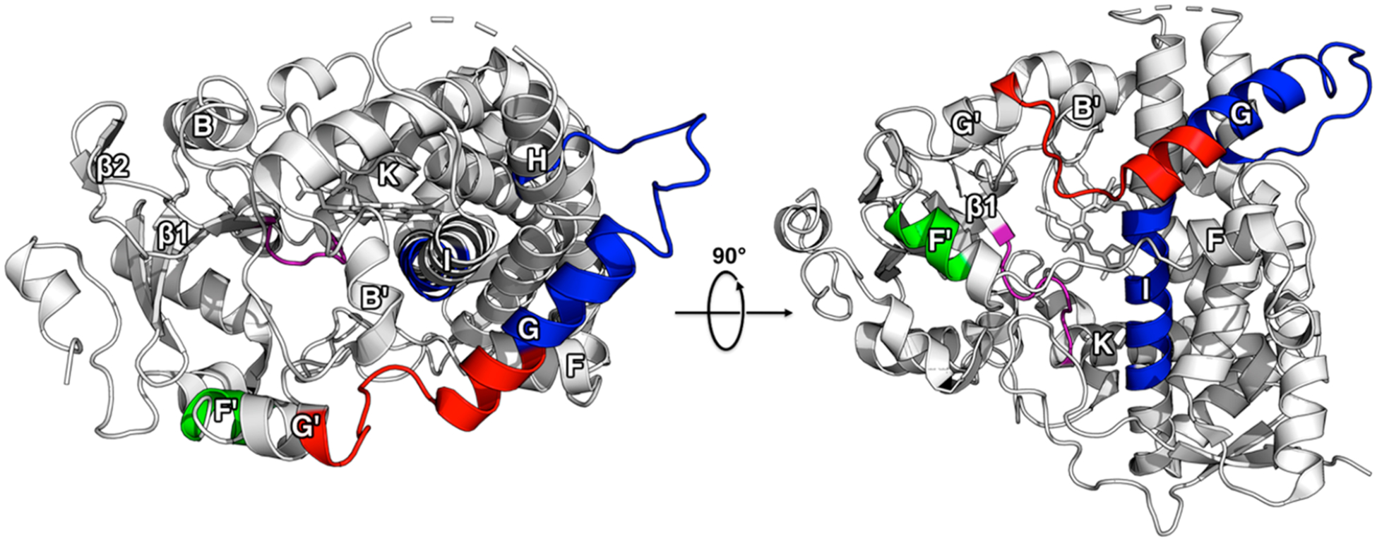 Figure 7.