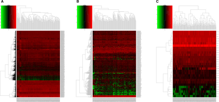 FIGURE 2