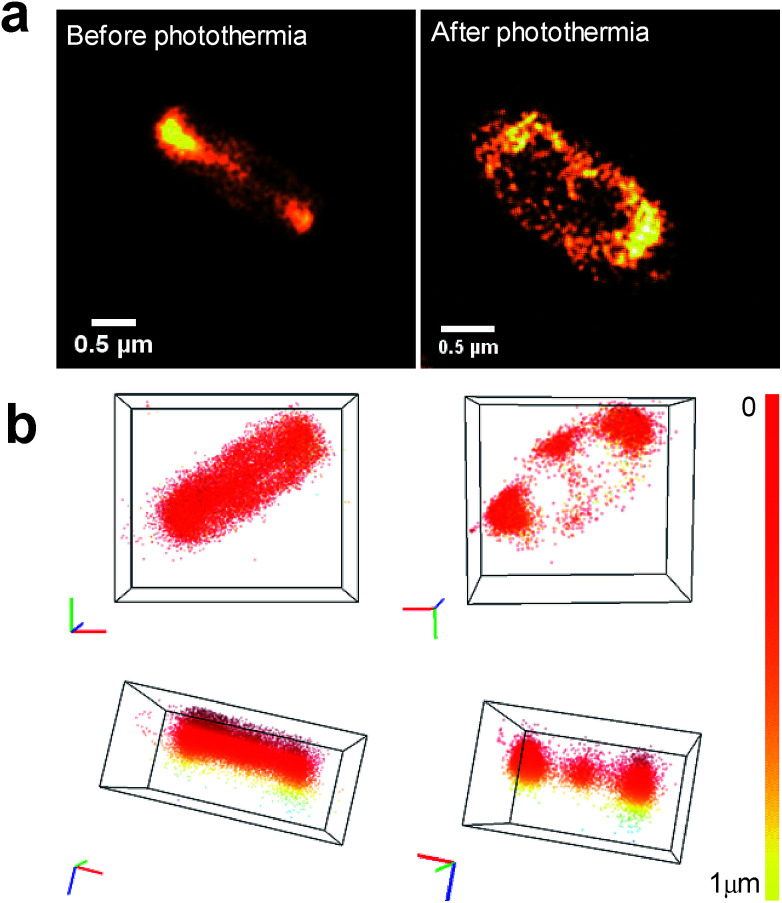 Fig. 10