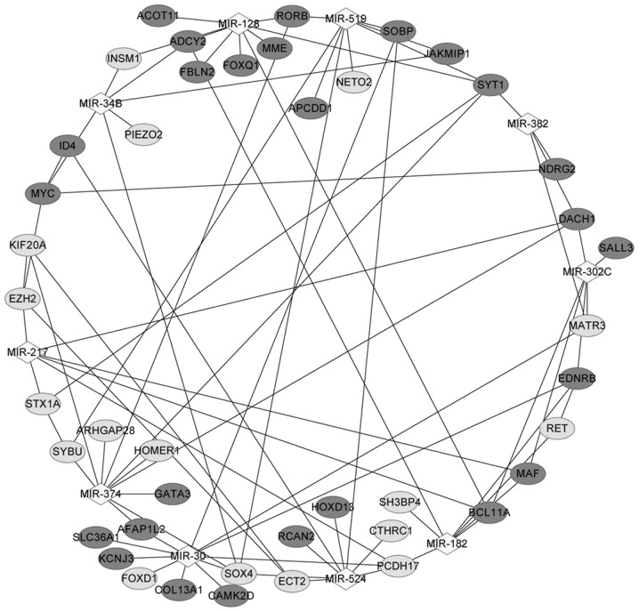 Figure 3.