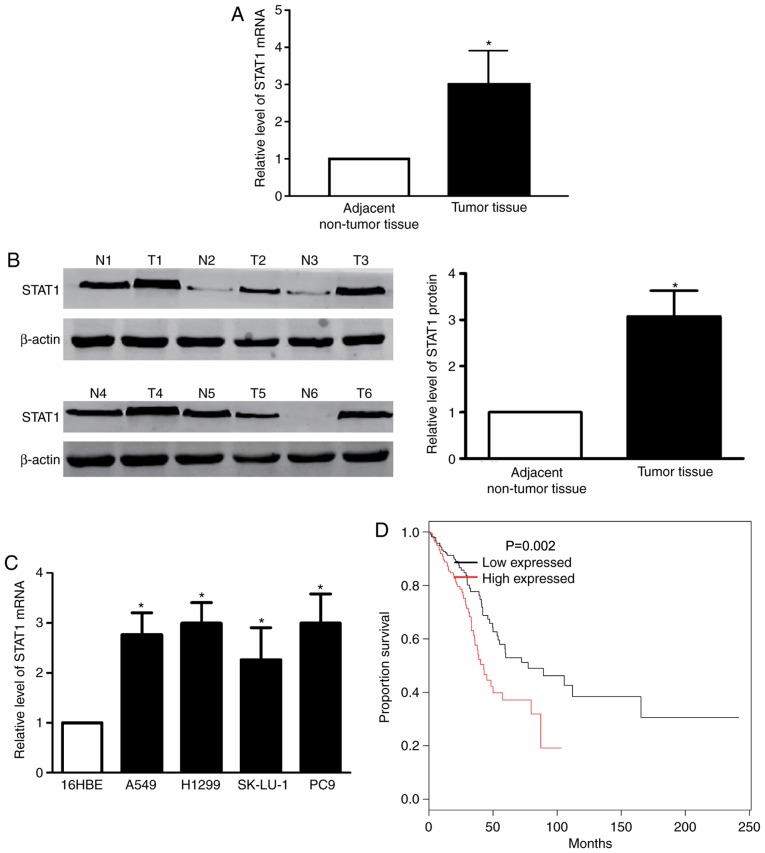 Figure 3.