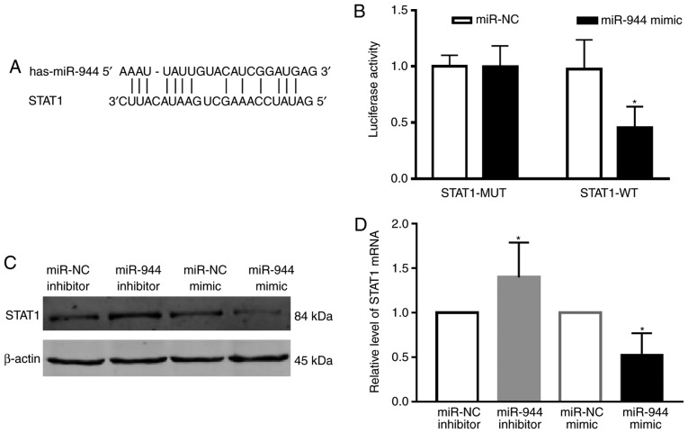 Figure 4.