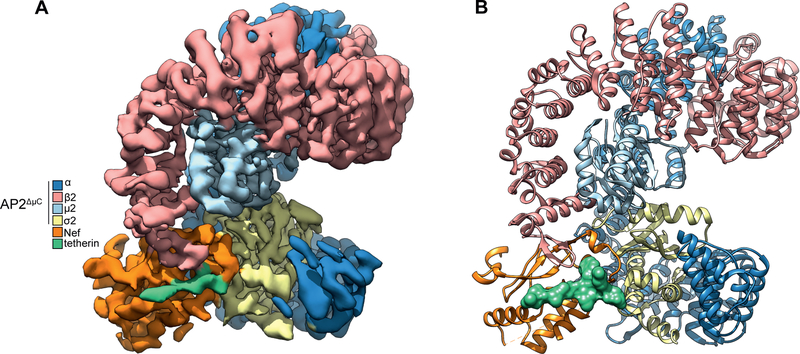 Figure 2.