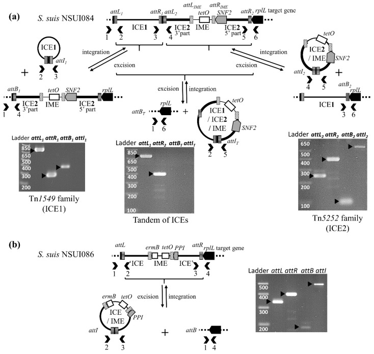 Figure 9