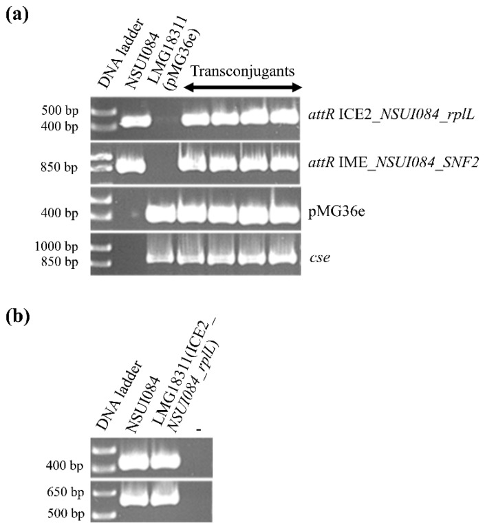 Figure 10