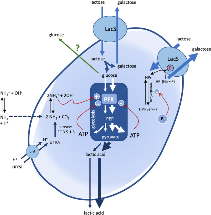 FIG 4